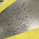 Every woman who works on Iron Maven gets to sign the roof. There were over 70 signatures already by the time I visited Girl Gang Garage. More have been added since.